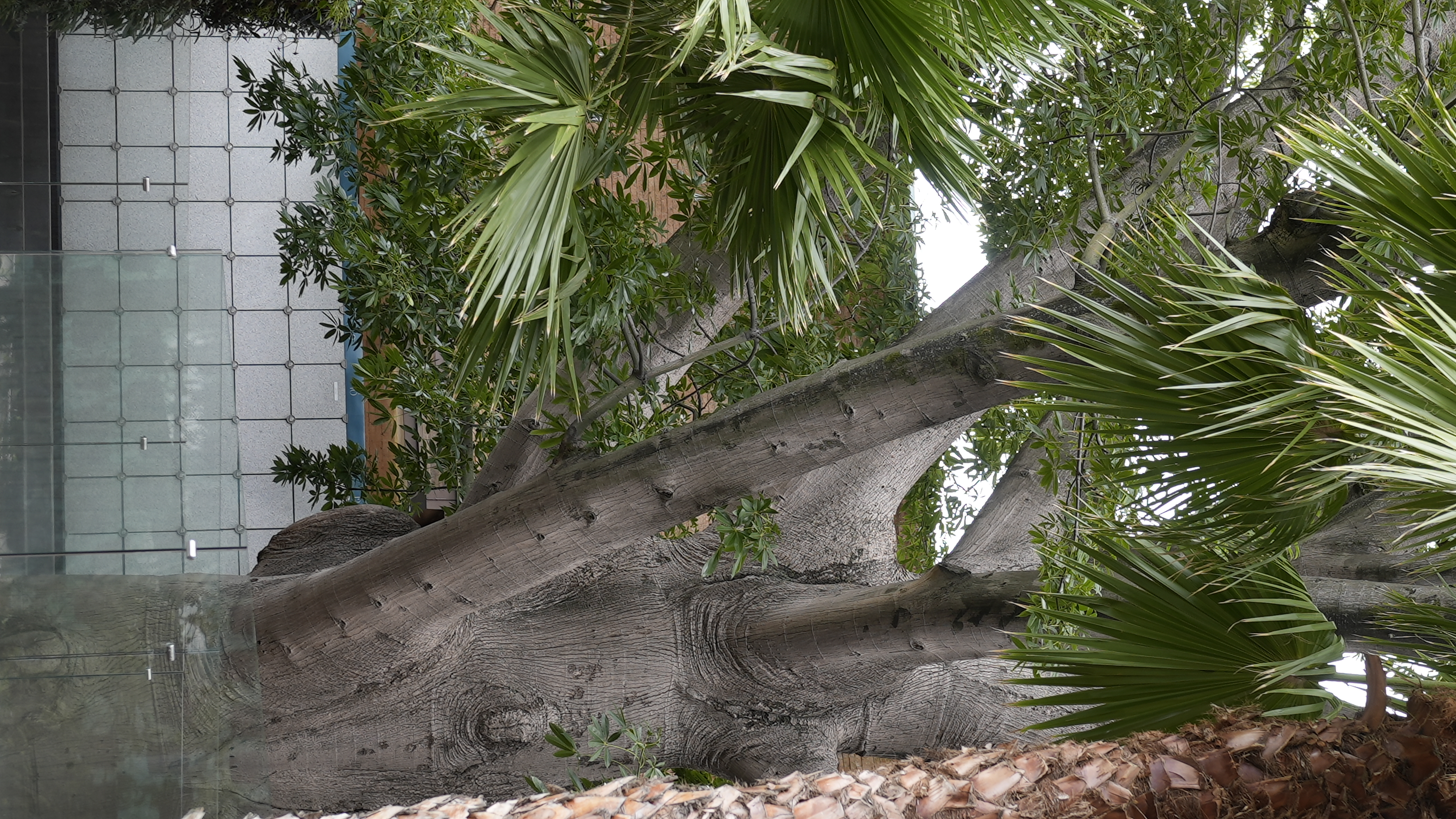 nichos exteriores en jardin